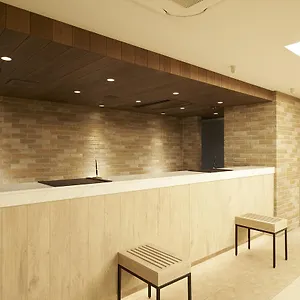 Hotel Sotetsu Fresa Ginza Sanchome