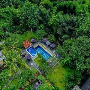 Alas Petulu And **** Ubud
